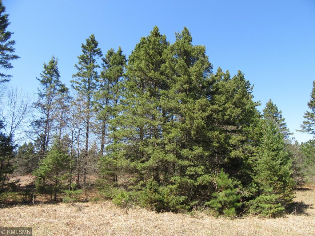 View of Land at XXX Blackfoot Street, Cambridge MN 55008, Cambridge - Mike Wilen | Minnesota Team Real Estate