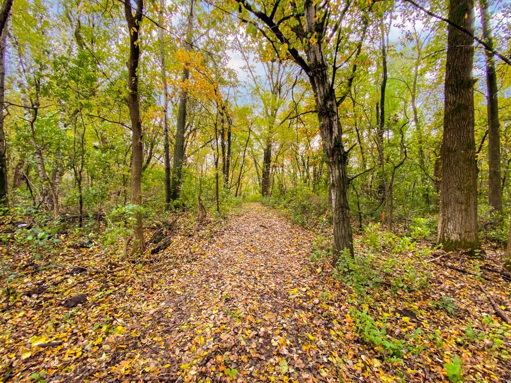 View of Land at 3411 Lake Elmo Avenue, Lake Elmo MN 55042, Lake Elmo - Mike Wilen | Minnesota Team Real Estate