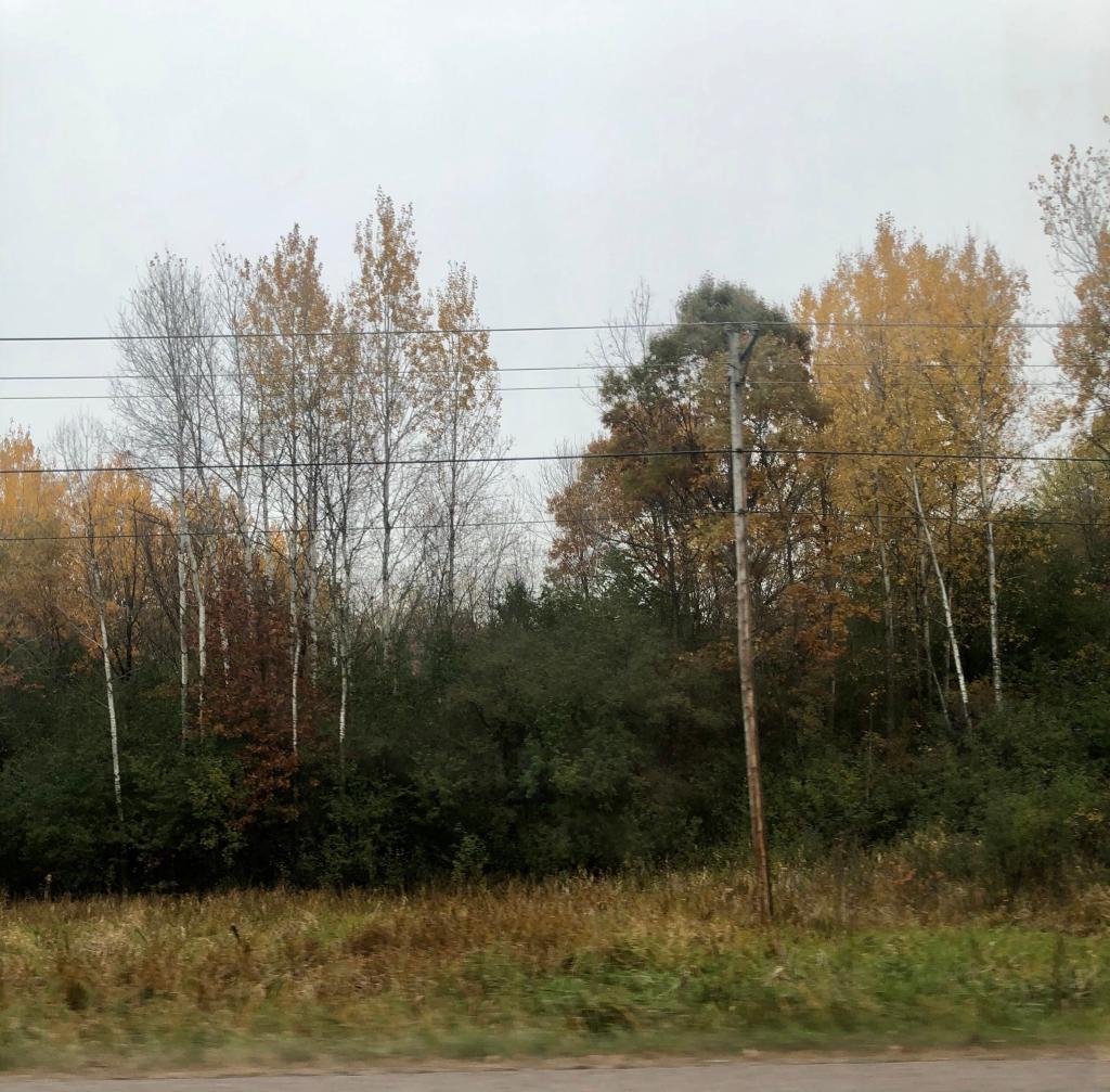View of Land at xxxx Pillsbury Avenue, Lakeville MN 55044, Lakeville - Mike Wilen | Minnesota Team Real Estate