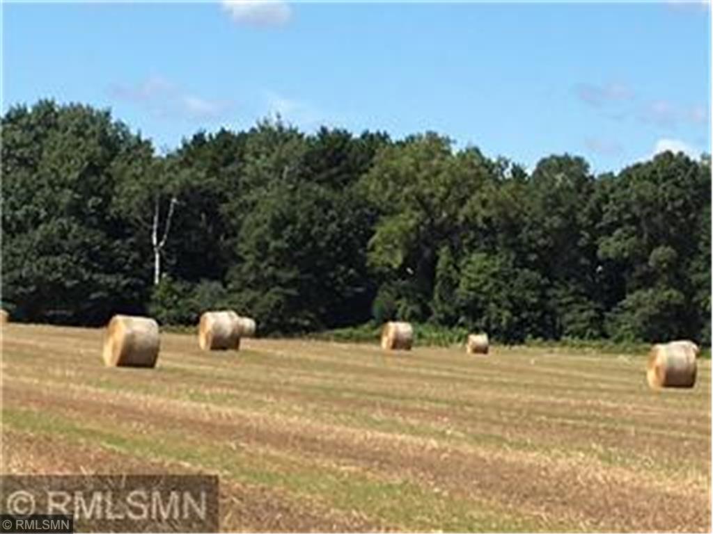 View of Land at XXX 114th Street, Princeton MN 55371, Princeton - Mike Wilen | Minnesota Team Real Estate