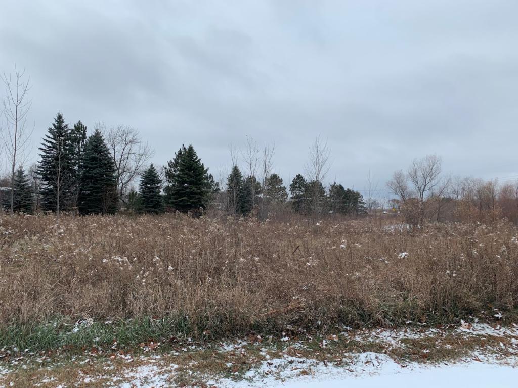 View of Land at XXX Gingham Court, Monticello MN 55362, Monticello - Mike Wilen | Minnesota Team Real Estate