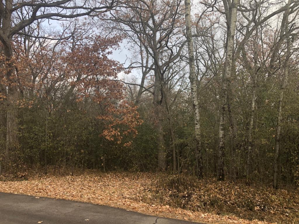 View of Land at XXX Ulysses Street, Elk River MN 55330, Elk River - Mike Wilen | Minnesota Team Real Estate