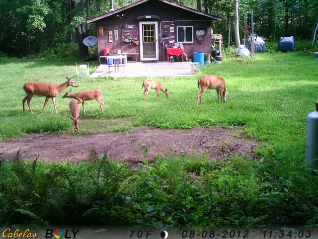 View of Land at 34538 30th Avenue, Isle MN 56342, Isle - Mike Wilen | Minnesota Team Real Estate