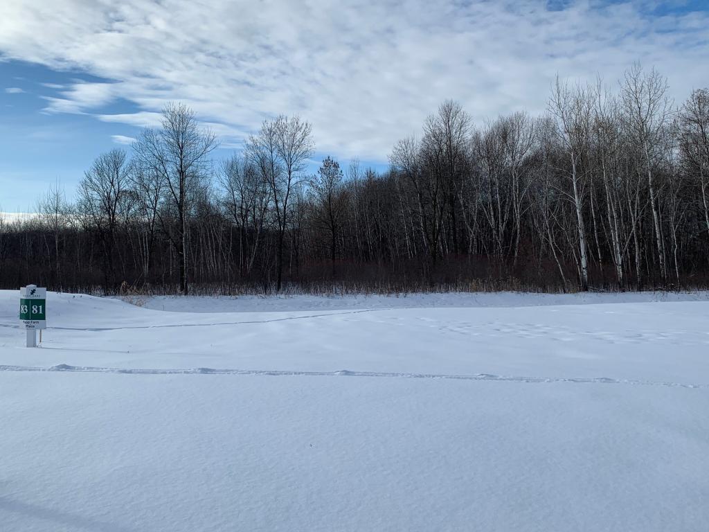 View of Land at 81 Rapp Farm Place, North Oaks MN 55127, North Oaks - Mike Wilen | Minnesota Team Real Estate