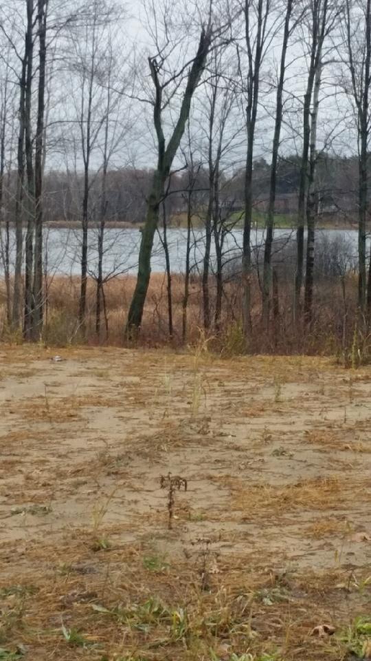 View of Land at 587 Elins Lake Rd, Cambridge MN 55008, Cambridge - Mike Wilen | Minnesota Team Real Estate