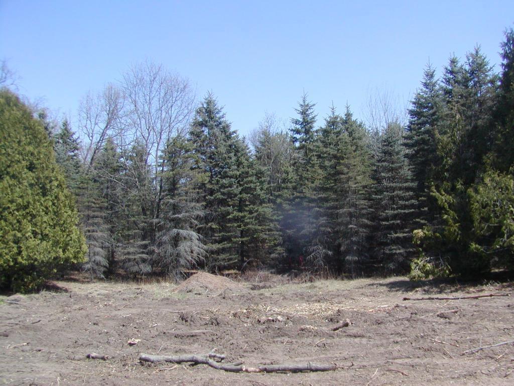 View of Land at 2837X Lot 7 135th Street, Zimmerman MN 55398, Zimmerman - Mike Wilen | Minnesota Team Real Estate