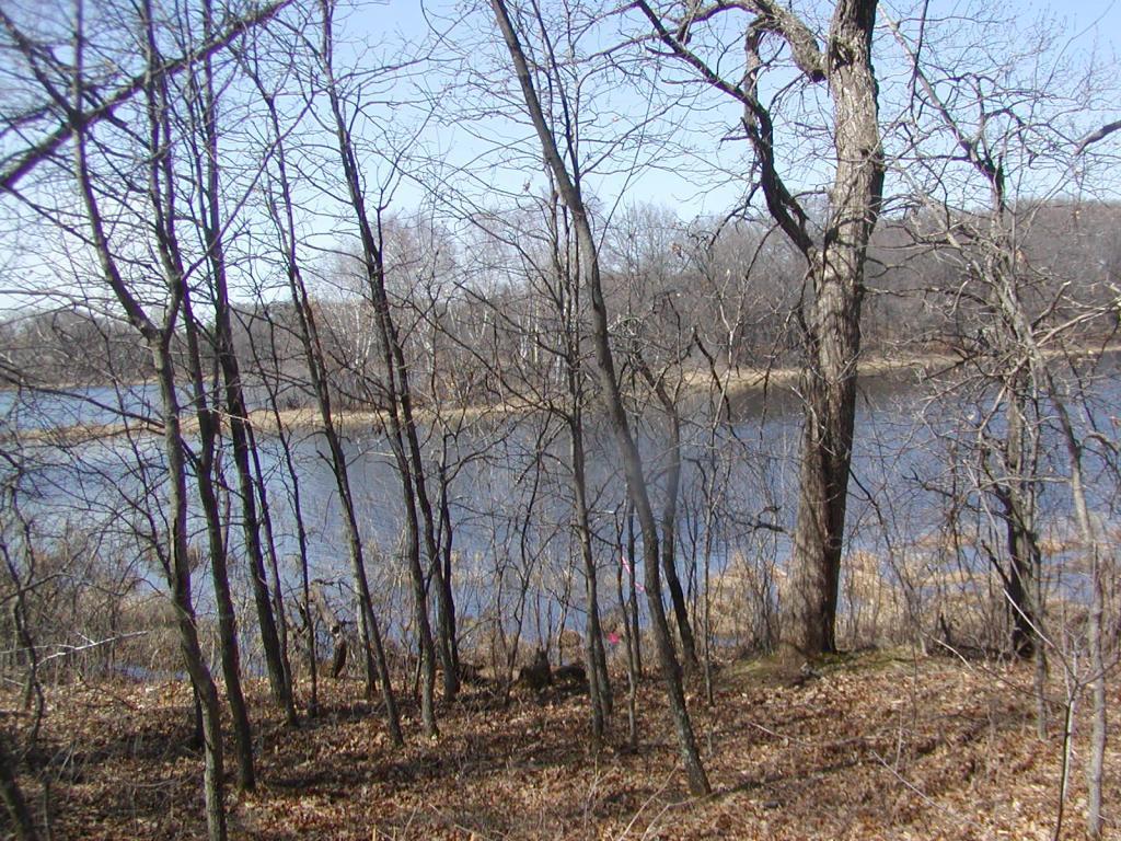 View of Land at 2833x Lot 3 135th Street, Zimmerman MN 55398, Zimmerman - Mike Wilen | Minnesota Team Real Estate