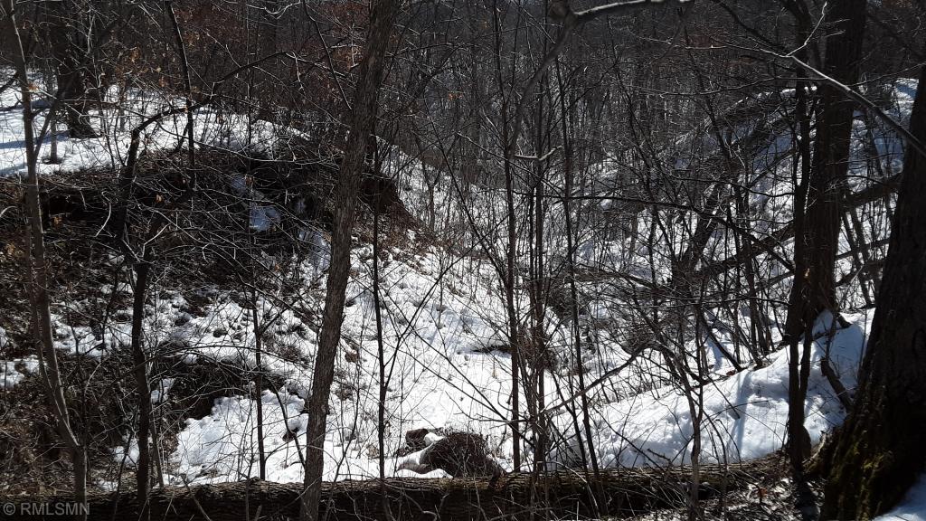 View of Land at 24XXX St. Croix Trail, Lindstrom MN 55074, Lindstrom - Mike Wilen | Minnesota Team Real Estate