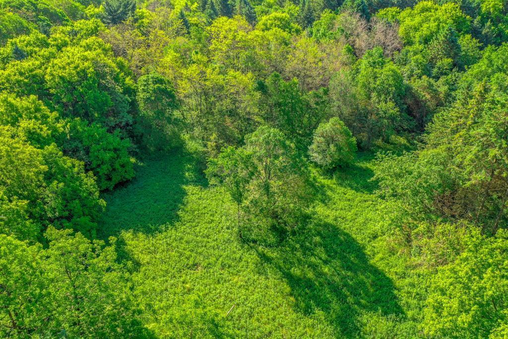 View of Land at 15XXX Afton Hills Drive, Afton MN 55001, Afton - Mike Wilen | Minnesota Team Real Estate