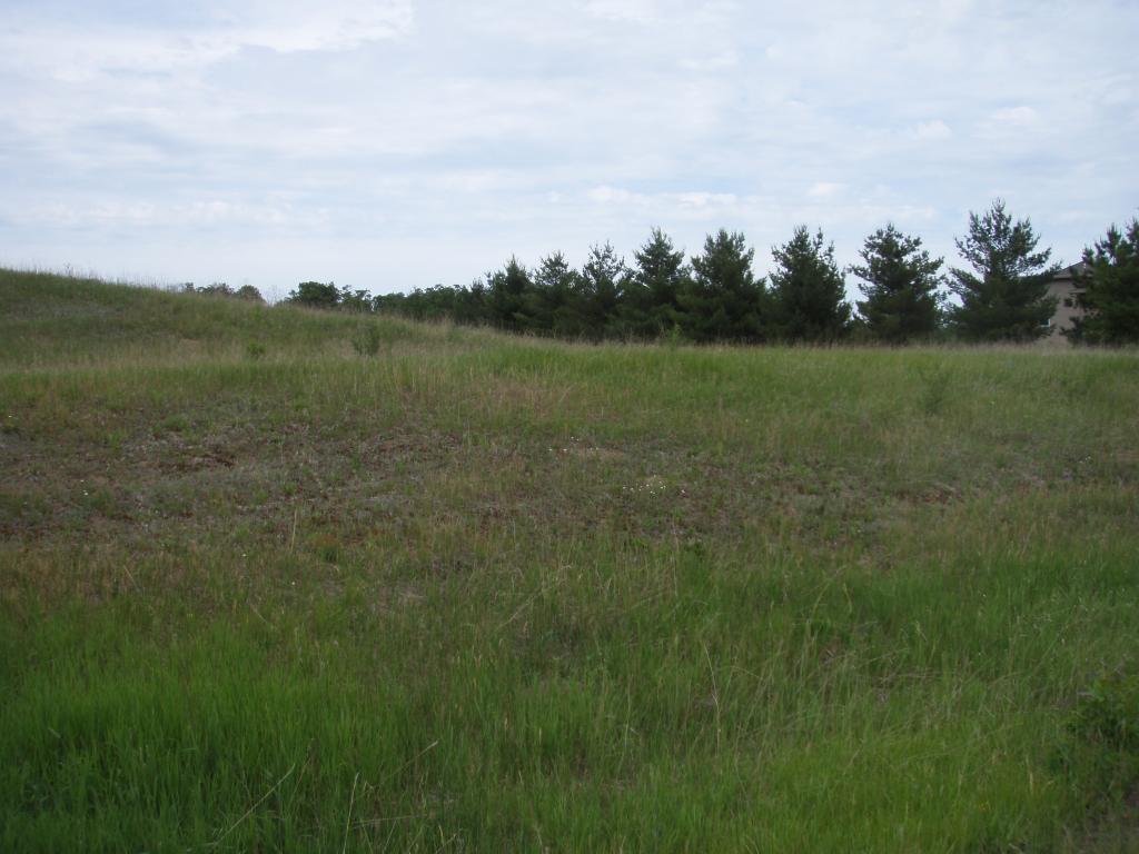 View of Land at 18210 224th Avenue, Big Lake MN 55309, Big Lake - Mike Wilen | Minnesota Team Real Estate