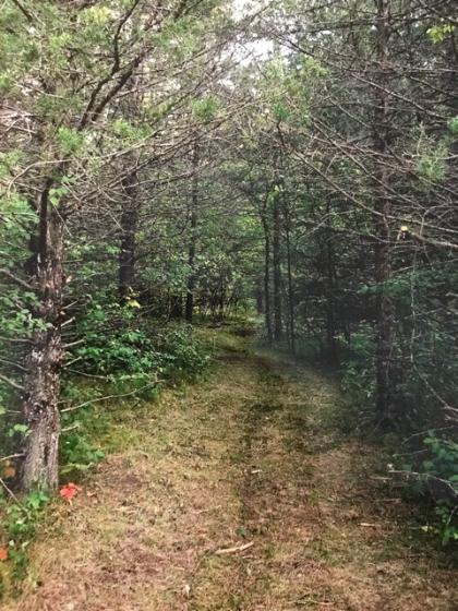 View of Land at 72xx Rockwood Avenue, South Haven MN 55382, South Haven - Mike Wilen | Minnesota Team Real Estate