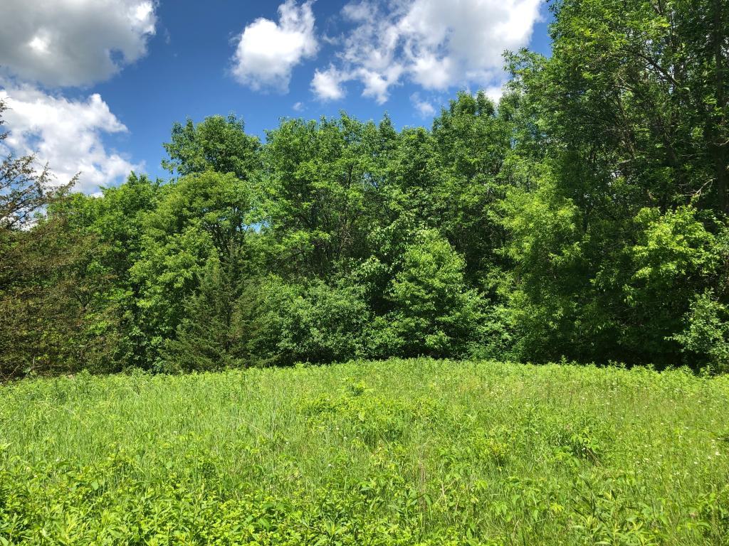 View of Land at xxx Norell Avenue, Stillwater MN 55082, Stillwater - Mike Wilen | Minnesota Team Real Estate