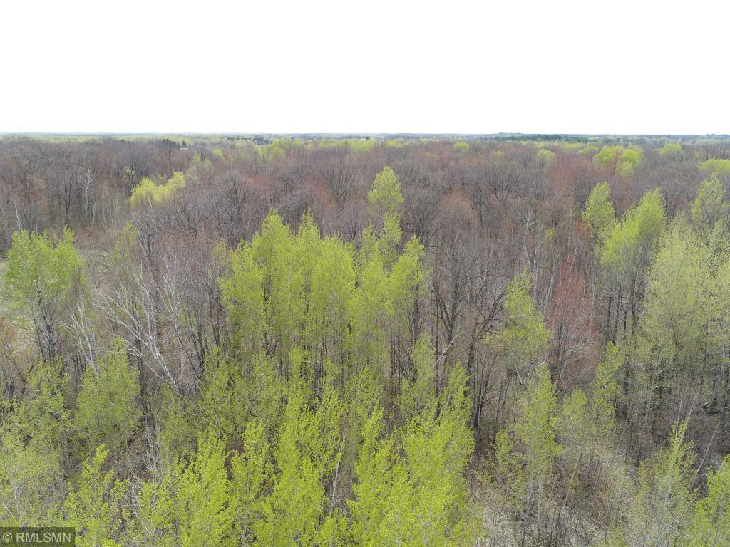 View of Land at 53xx 180th Street, Milaca MN 56358, Milaca - Mike Wilen | Minnesota Team Real Estate