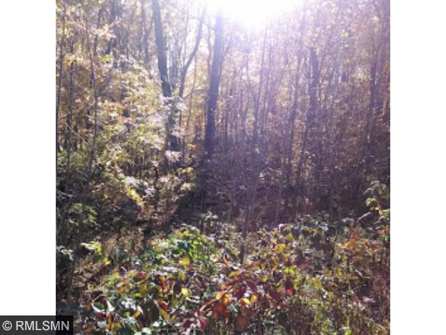 View of Land at XX6 Sugar Bush Circle, Onamia MN 56359, Onamia - Mike Wilen | Minnesota Team Real Estate