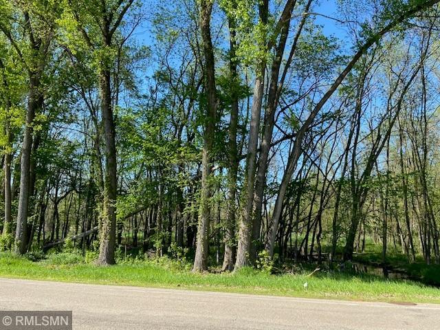 View of Land at 78XX North Shore Trail, Forest Lake MN 55025, Forest Lake - Mike Wilen | Minnesota Team Real Estate