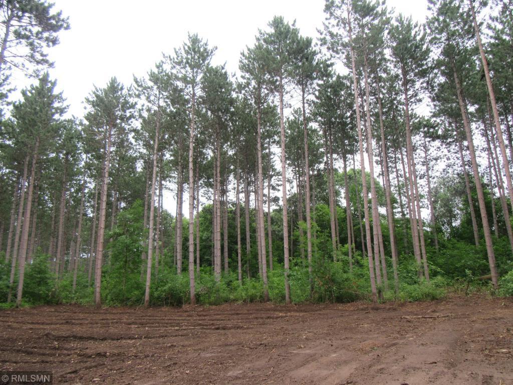 View of Land at (Lot 2) Salish Court, Cambridge MN 55008, Cambridge - Mike Wilen | Minnesota Team Real Estate