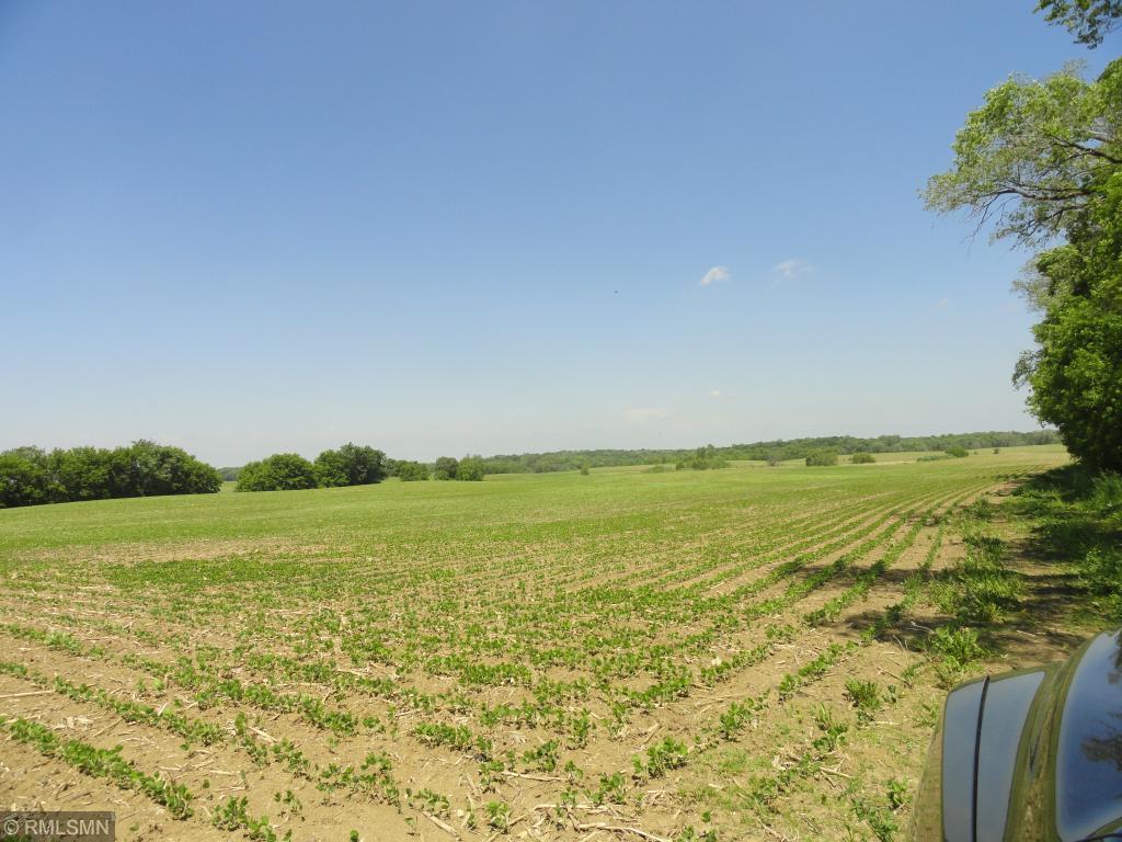 View of Farm at 15280 125th Avenue, Dayton MN 55327, Dayton - Mike Wilen | Minnesota Team Real Estate