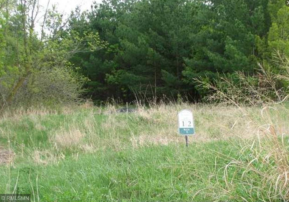 View of Land at Lot 1 Blk 3 Sierra Avenue, Shafer MN 55074, Shafer - Mike Wilen | Minnesota Team Real Estate