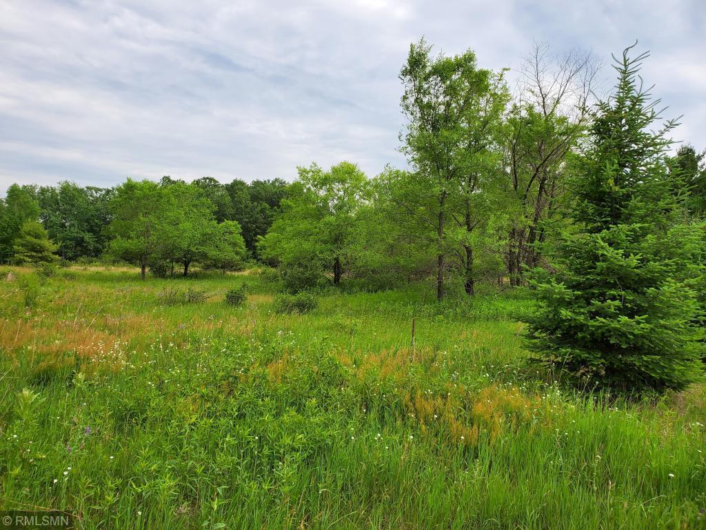 View of Land at XXX Forest Boulevard, Stacy MN 55079, Stacy - Mike Wilen | Minnesota Team Real Estate