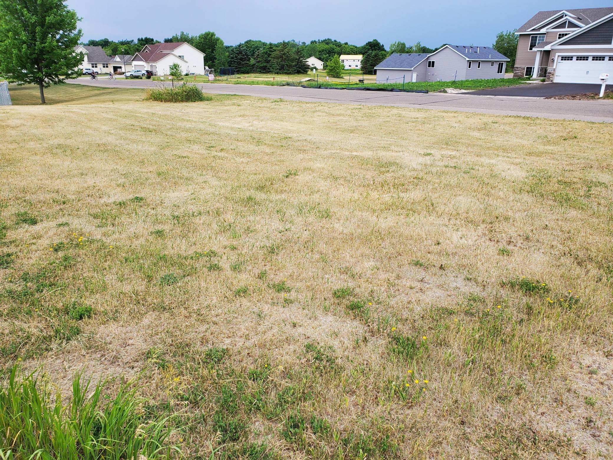 View of Land at 8XX Morrison Avenue, Annandale MN 55302, Annandale - Mike Wilen | Minnesota Team Real Estate