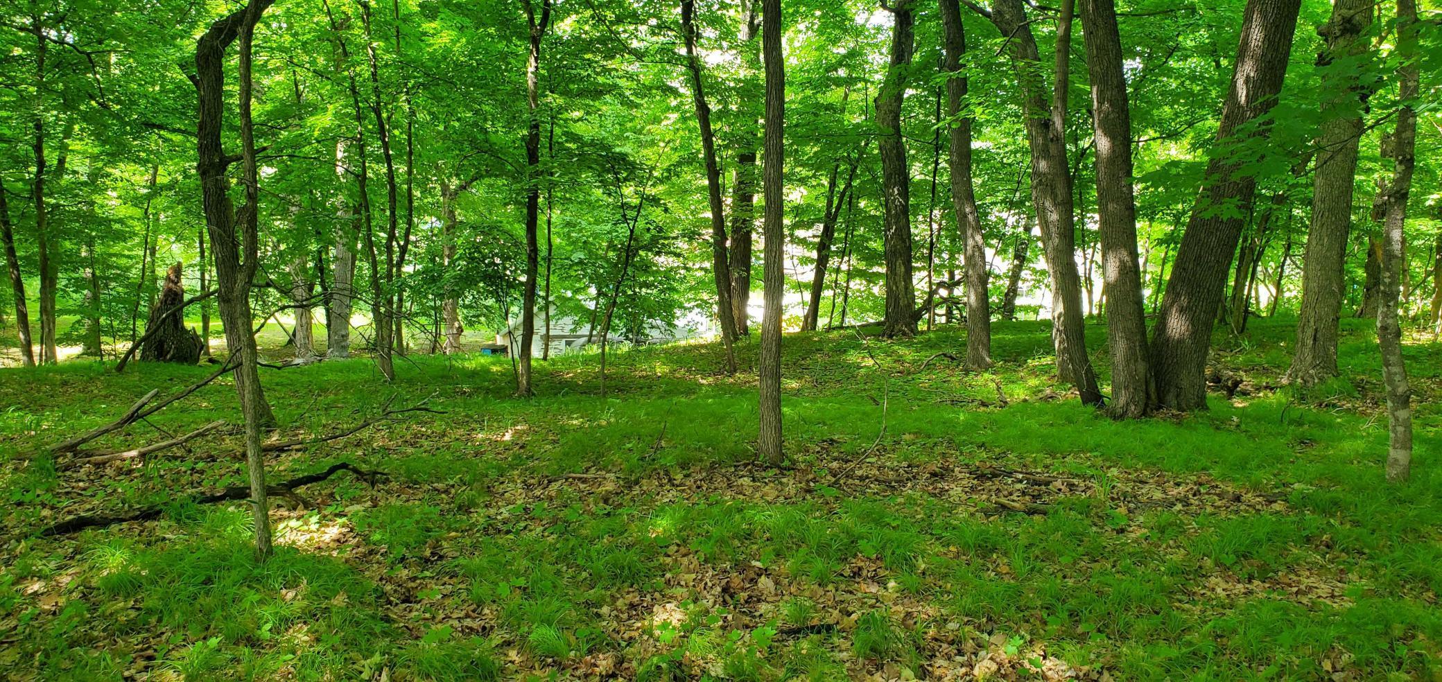 View of Land at 10477 Nevens Avenue, South Haven MN 55382, South Haven - Mike Wilen | Minnesota Team Real Estate