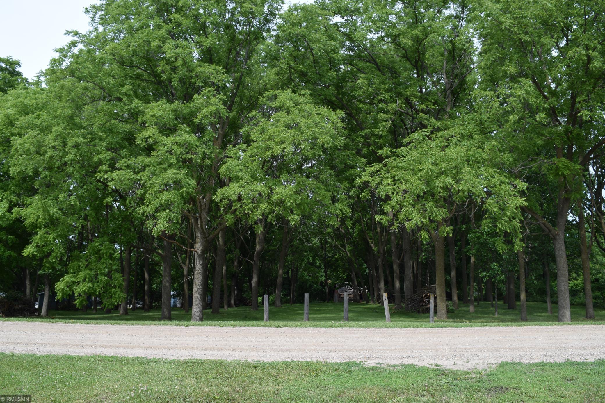 View of Land at XXX Imhoff Ave SW, Howard Lake MN 55349, Howard Lake - Mike Wilen | Minnesota Team Real Estate