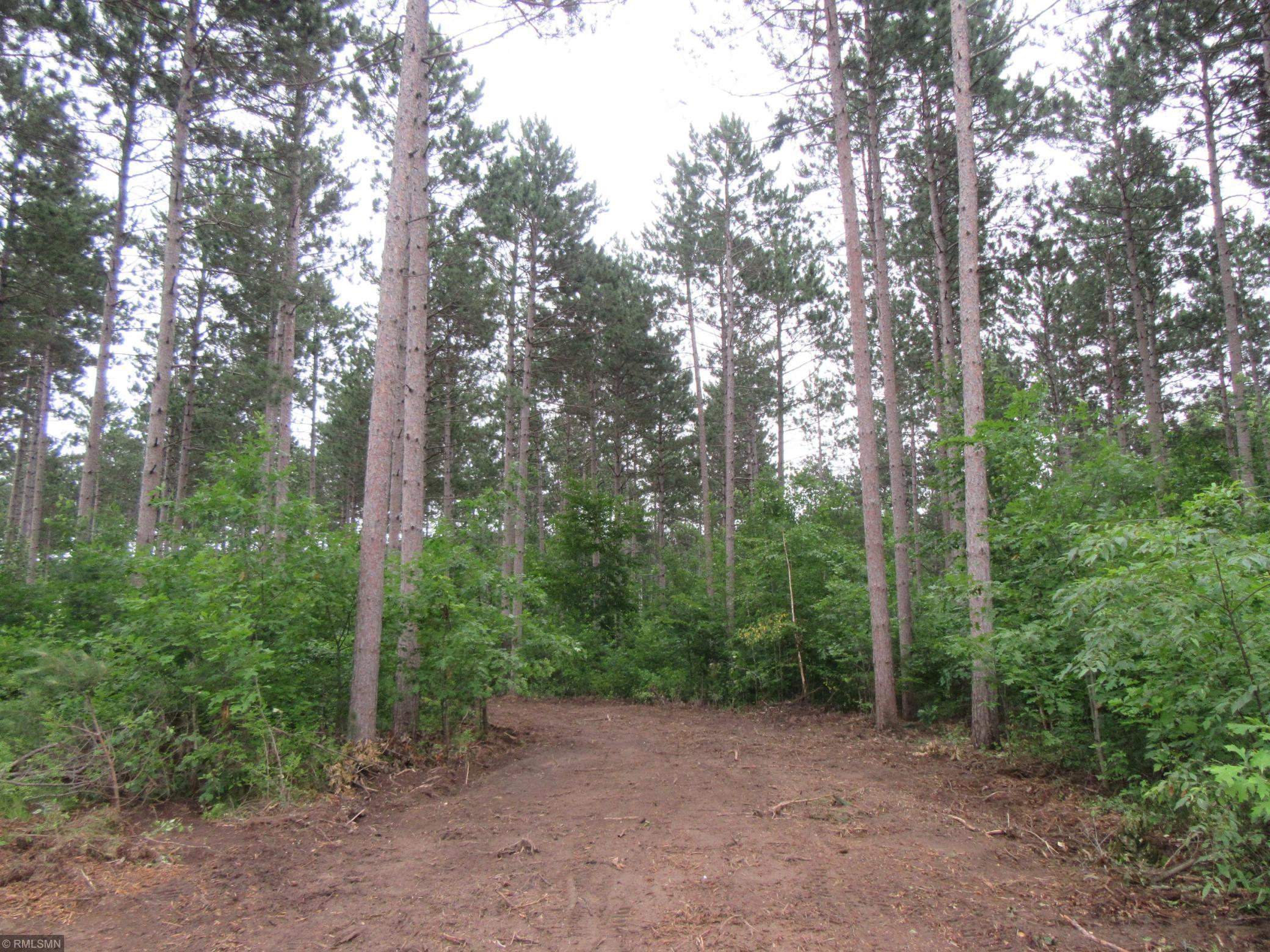 View of Land at (Lot 3) Salish Court, Cambridge MN 55008, Cambridge - Mike Wilen | Minnesota Team Real Estate