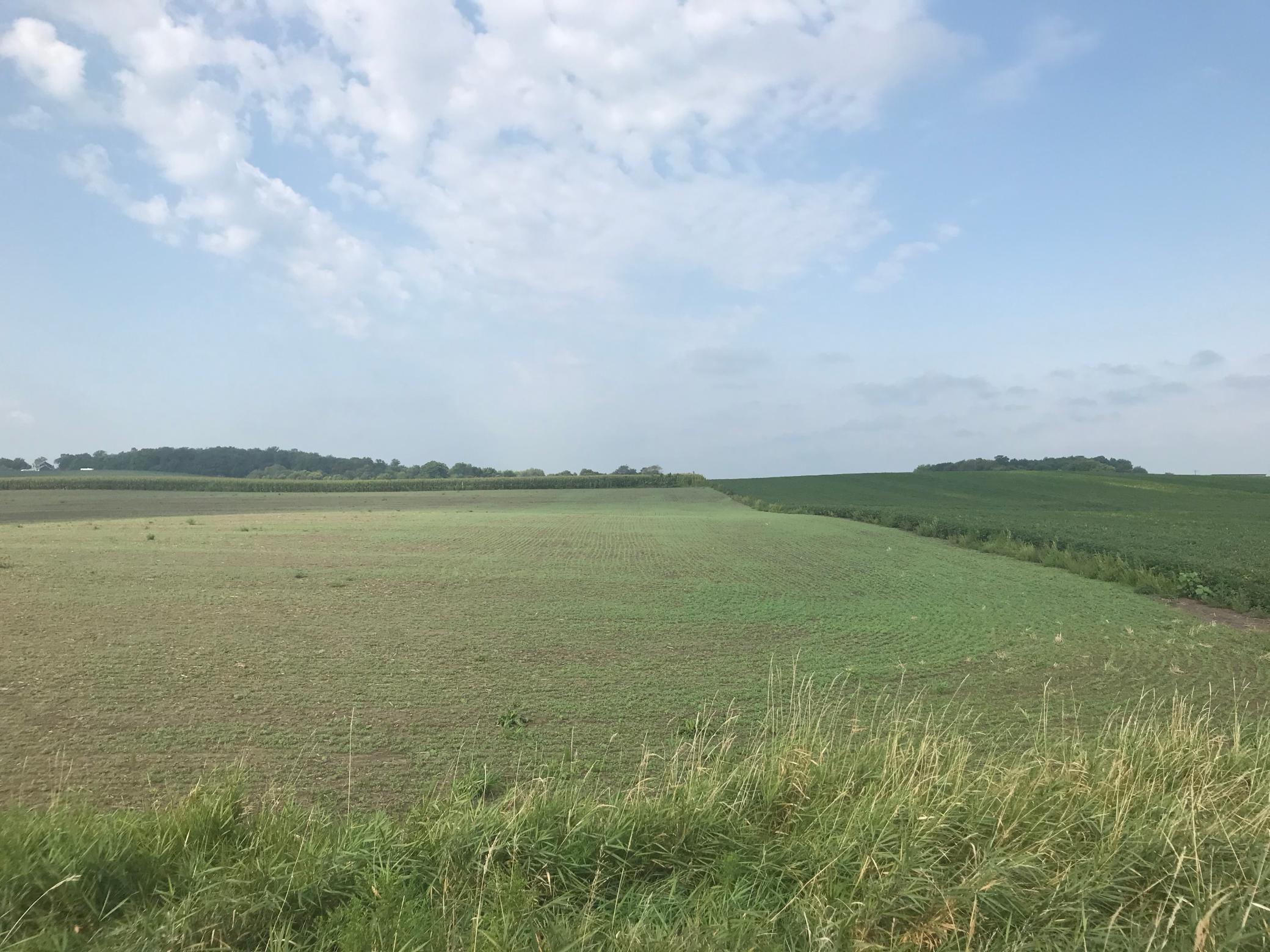 View of Land at 26x11 Jonquil Ave, Elko New Market MN 55020, Elko New Market - Mike Wilen | Minnesota Team Real Estate