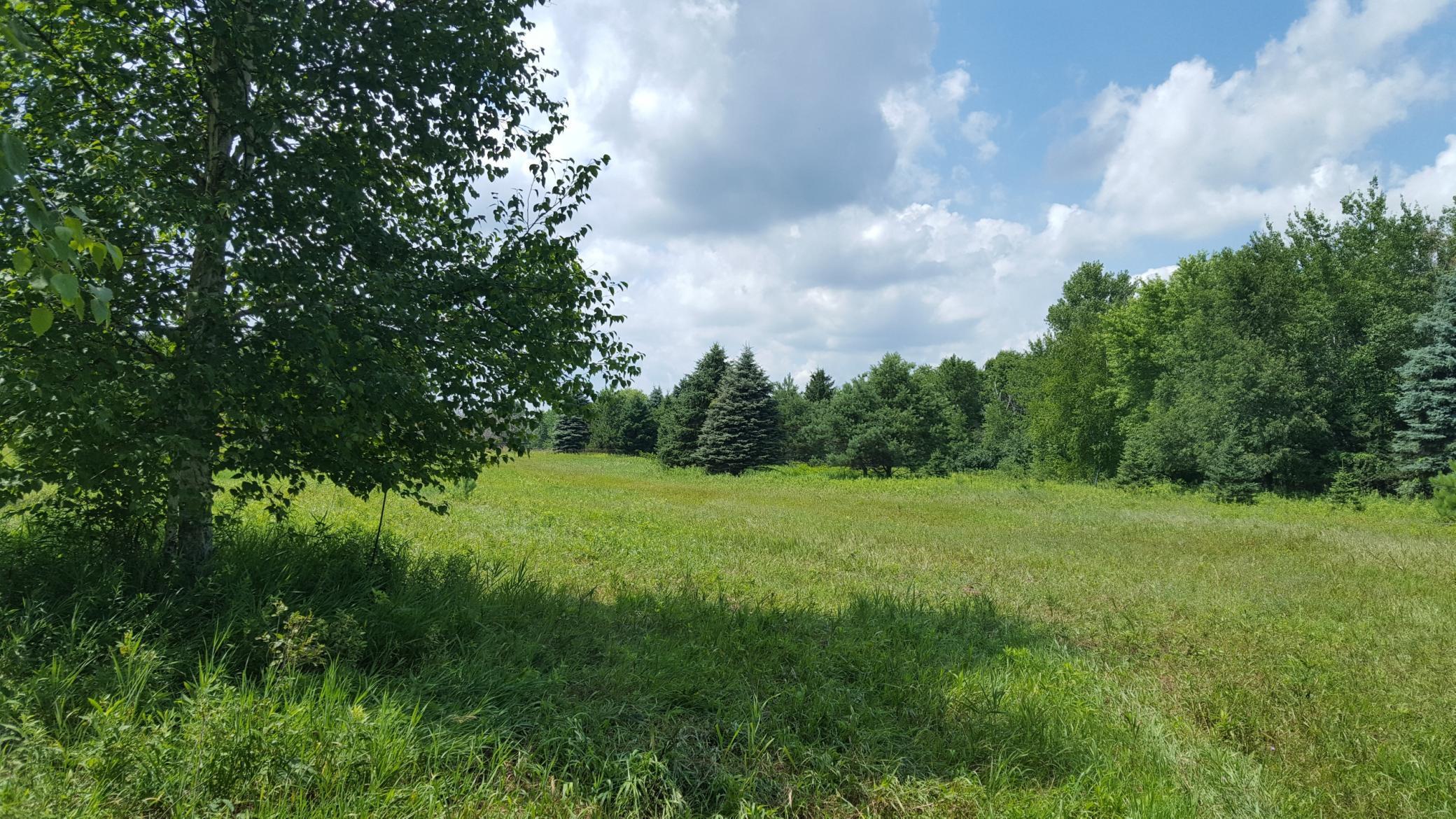 View of Land at xxx 180th Street, Marine On Saint Croix MN 55073, Marine On Saint Croix - Mike Wilen | Minnesota Team Real Estate