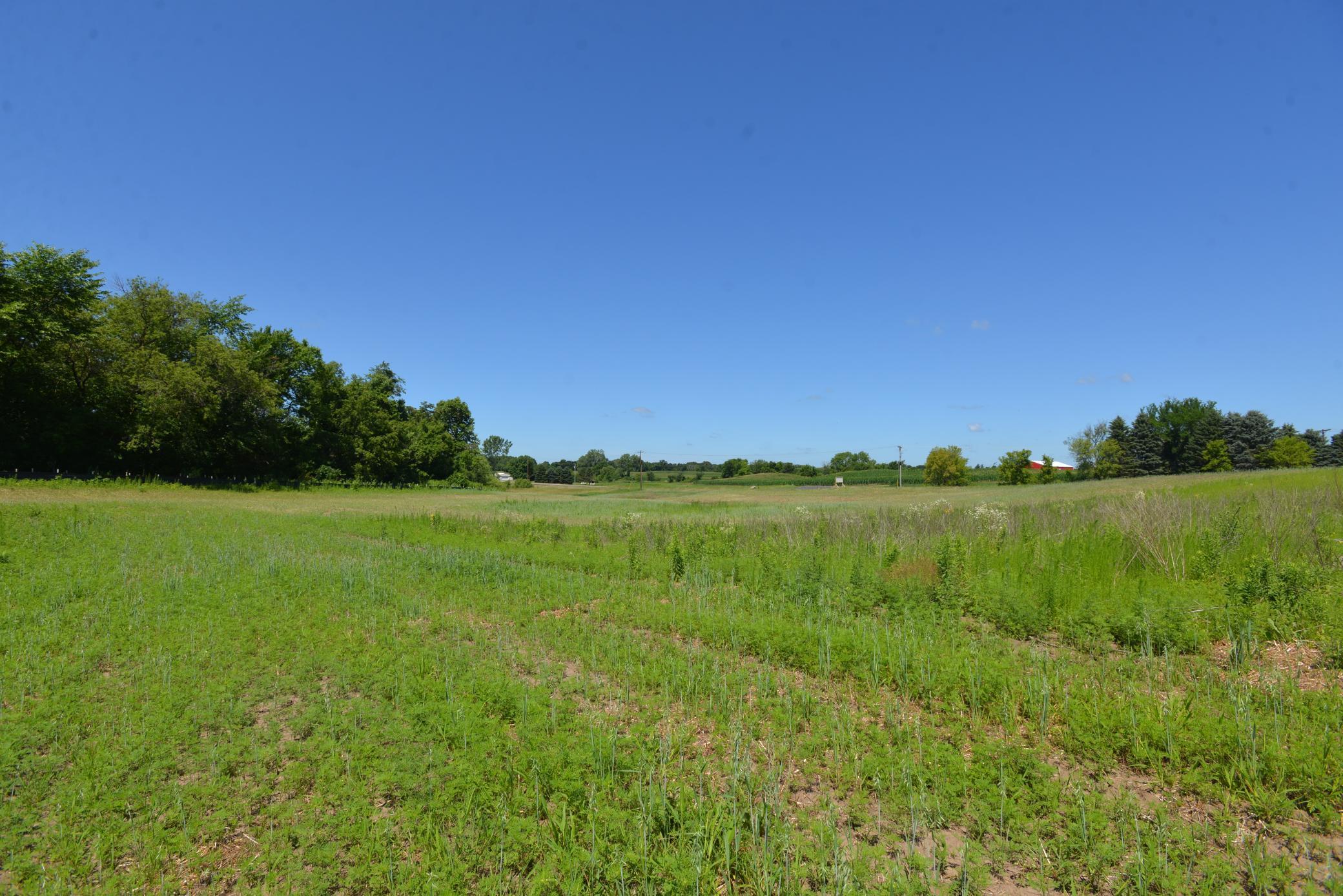 View of Land at xx 86th Street, Delano MN 55328, Delano - Mike Wilen | Minnesota Team Real Estate