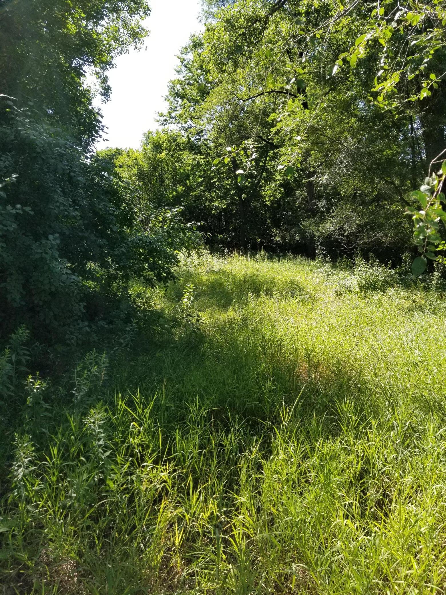 View of Land at 1561 Jackson Street, Saint Paul MN 55117, Saint Paul - Mike Wilen | Minnesota Team Real Estate