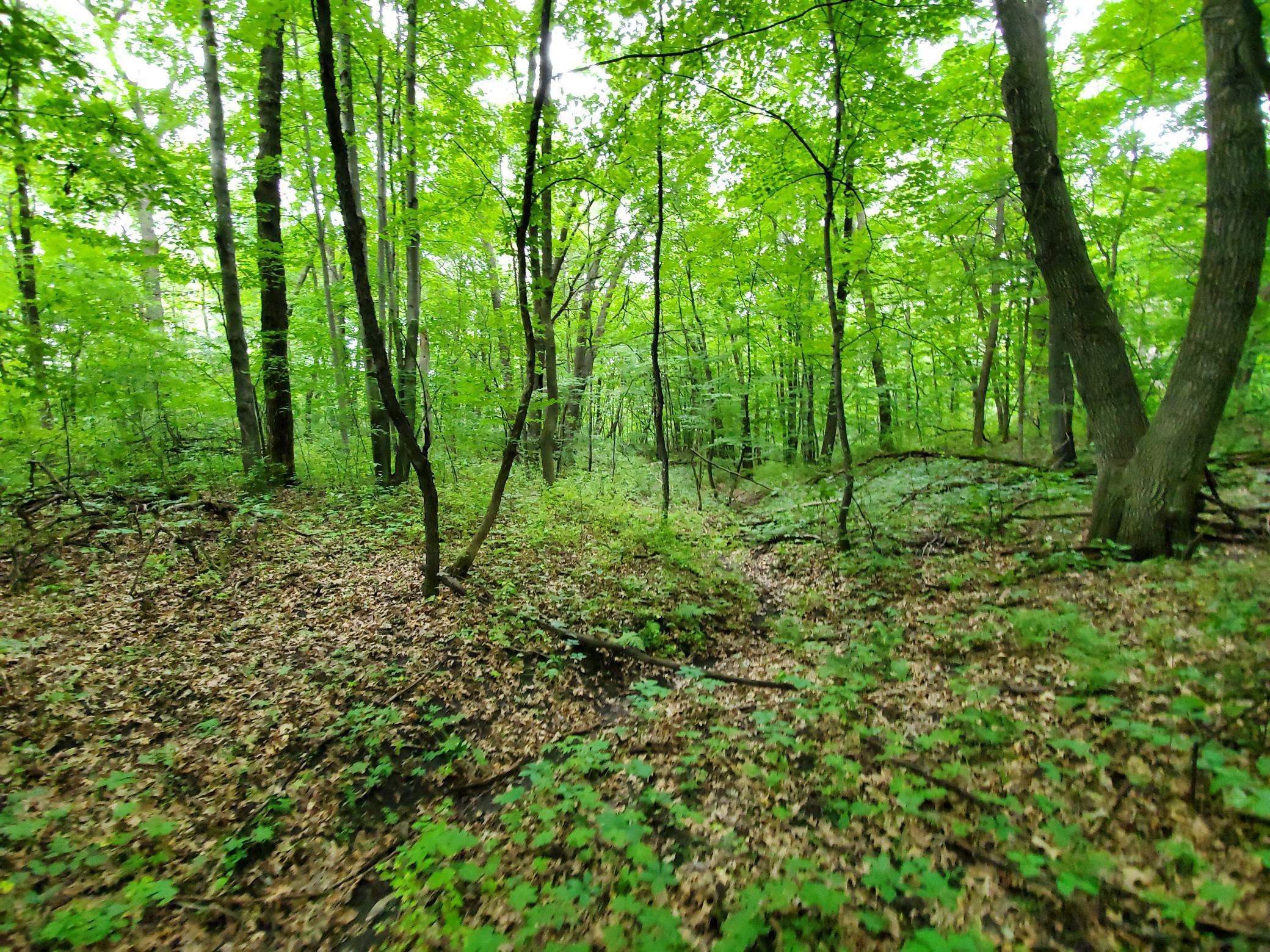 View of Land at 15xxx Hendricks Avenue, Clearwater MN 55320, Clearwater - Mike Wilen | Minnesota Team Real Estate
