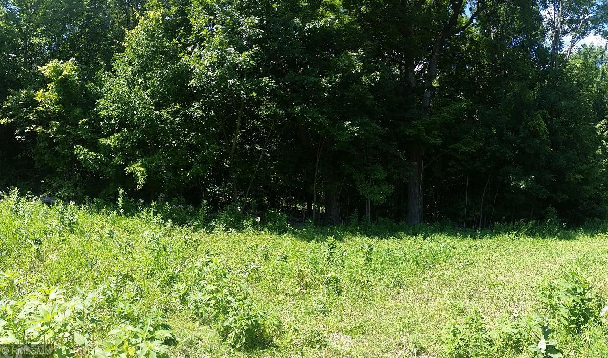 View of Land at 27xxx Que Avenue, Shafer MN 55074, Shafer - Mike Wilen | Minnesota Team Real Estate