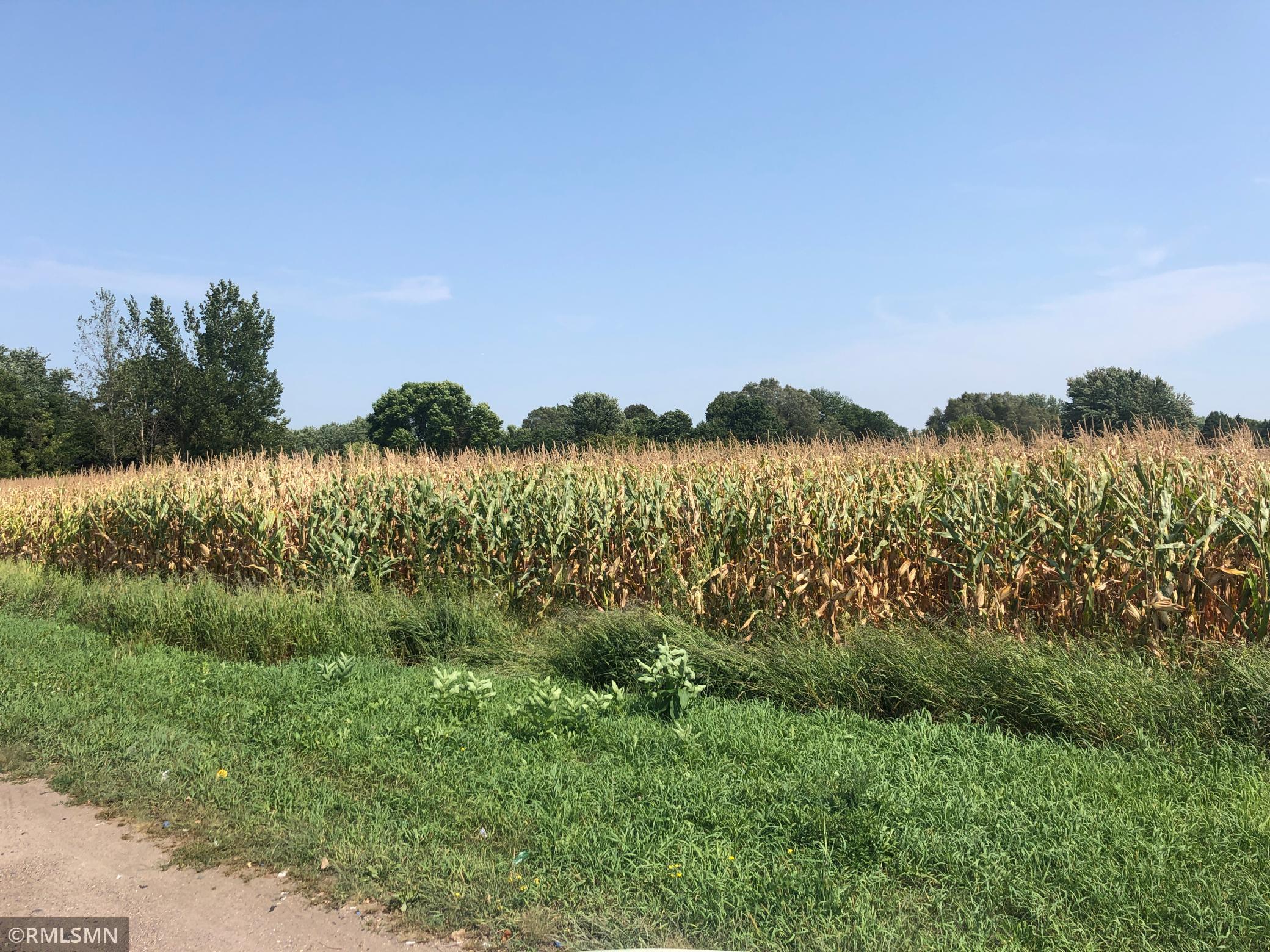 View of Land at xxxx 210th Street, Lakeville MN 55044, Lakeville - Mike Wilen | Minnesota Team Real Estate