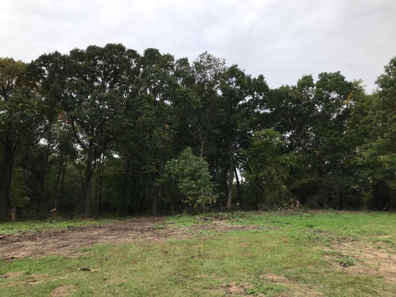 View of Land at L3 B3 172nd Avenue, Becker MN 55308, Becker - Mike Wilen | Minnesota Team Real Estate