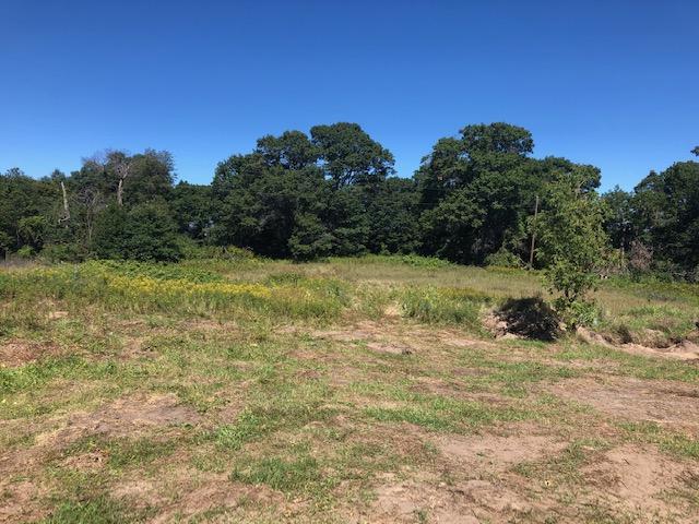View of Land at Lot 2 Aspen Road, Princeton MN 55371, Princeton - Mike Wilen | Minnesota Team Real Estate