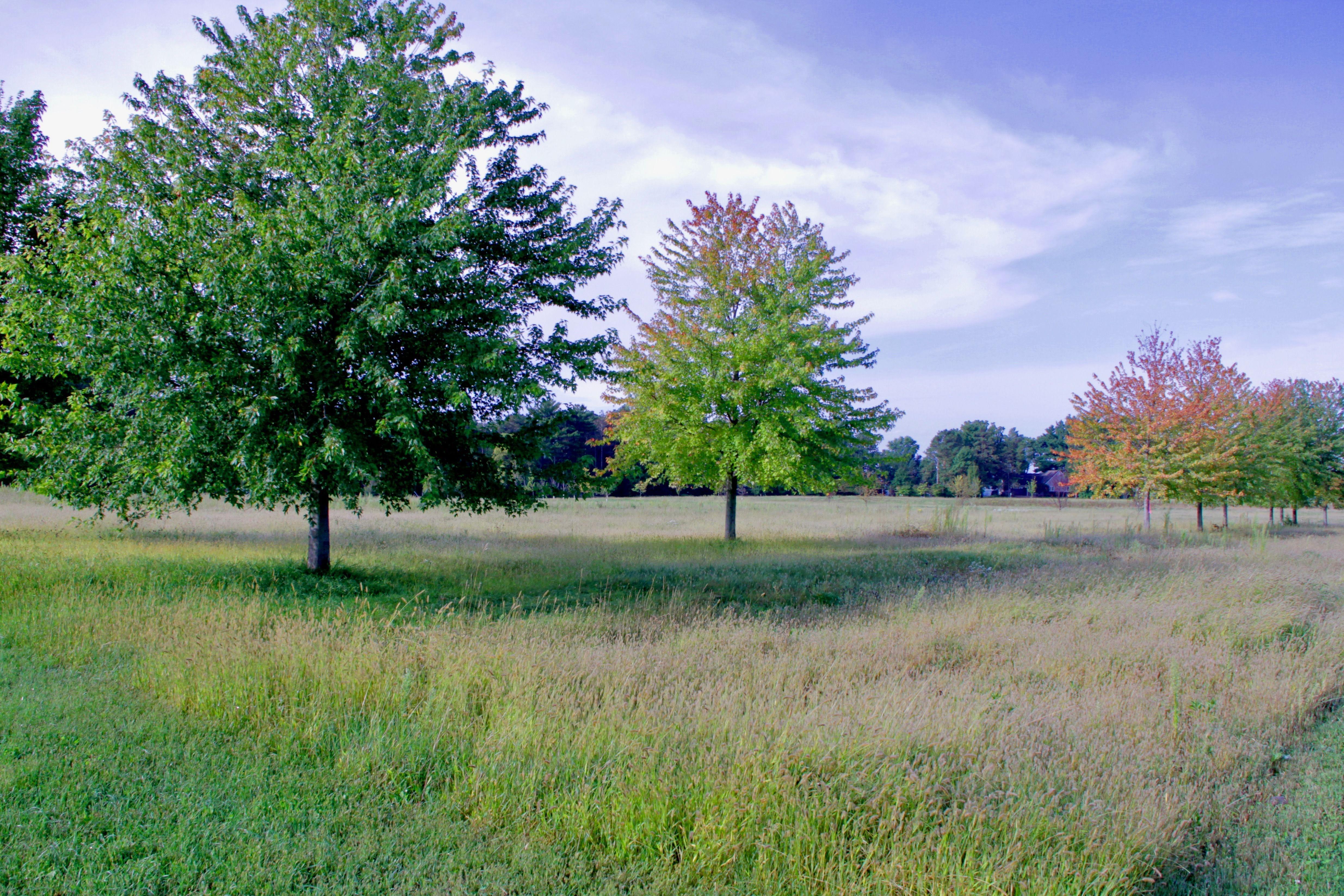 View of Land at 12130 129th Street Court, Hastings MN 55033, Hastings - Mike Wilen | Minnesota Team Real Estate