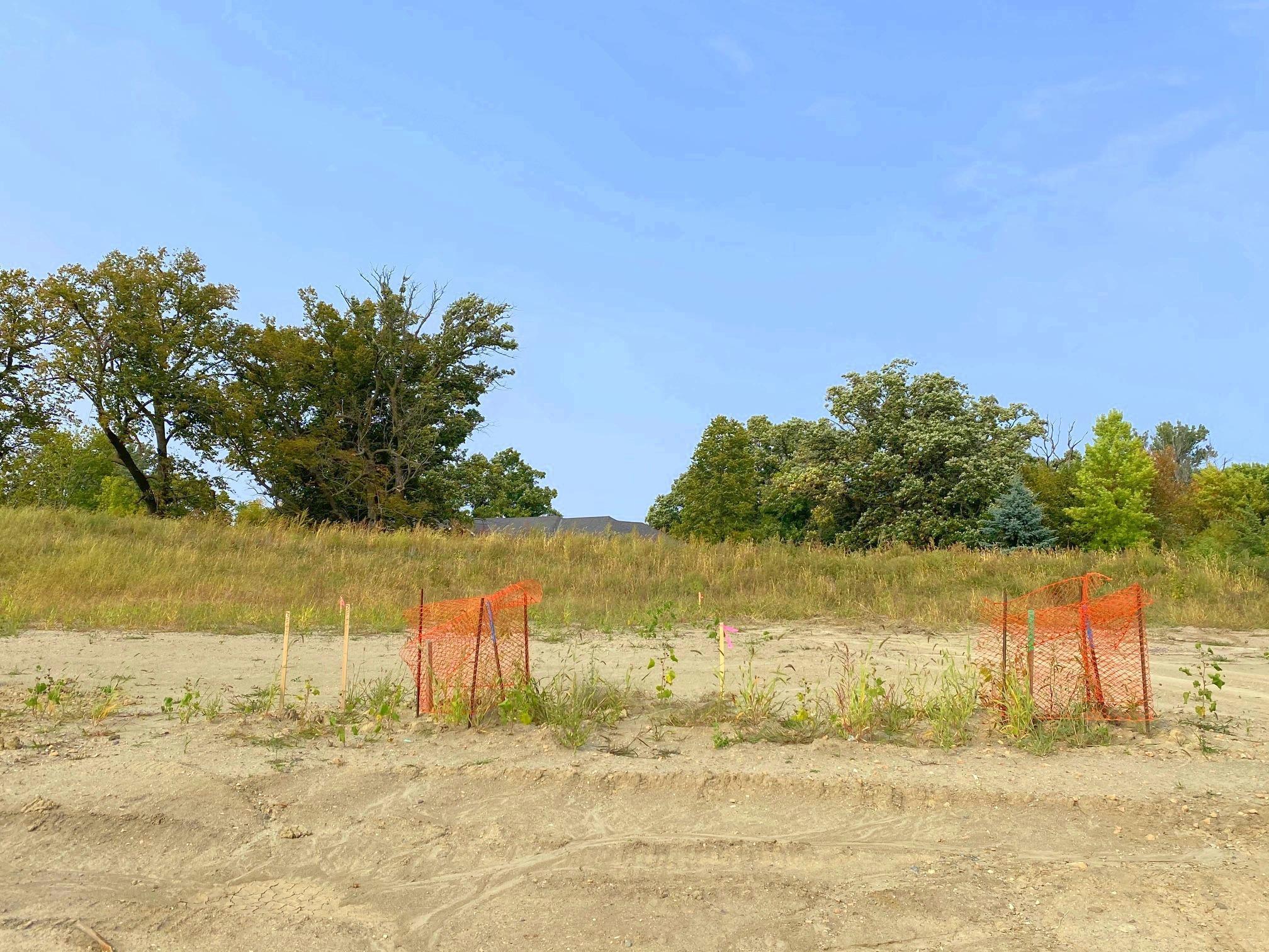 View of Residential at 9532 Bridle Way, Victoria MN 55386, Victoria - Mike Wilen | Minnesota Team Real Estate