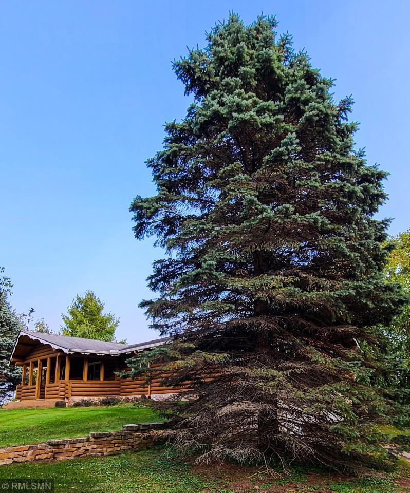 View of Residential at 16017 15th Street, Afton MN 55001, Afton - Mike Wilen | Minnesota Team Real Estate