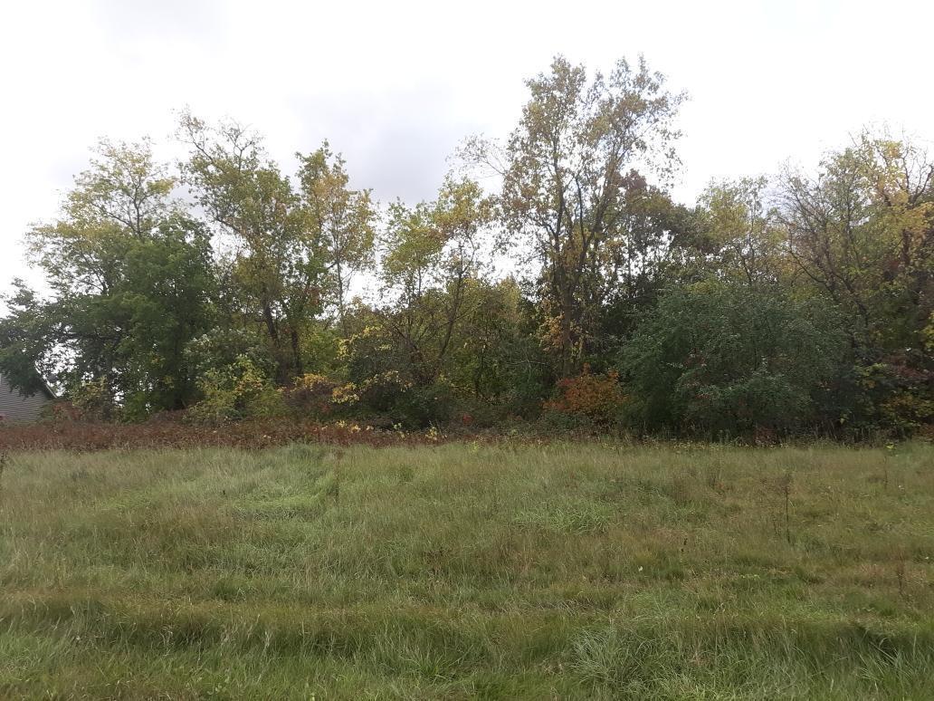 View of Land at xxx 274th Avenue, Zimmerman MN 55398, Zimmerman - Mike Wilen | Minnesota Team Real Estate