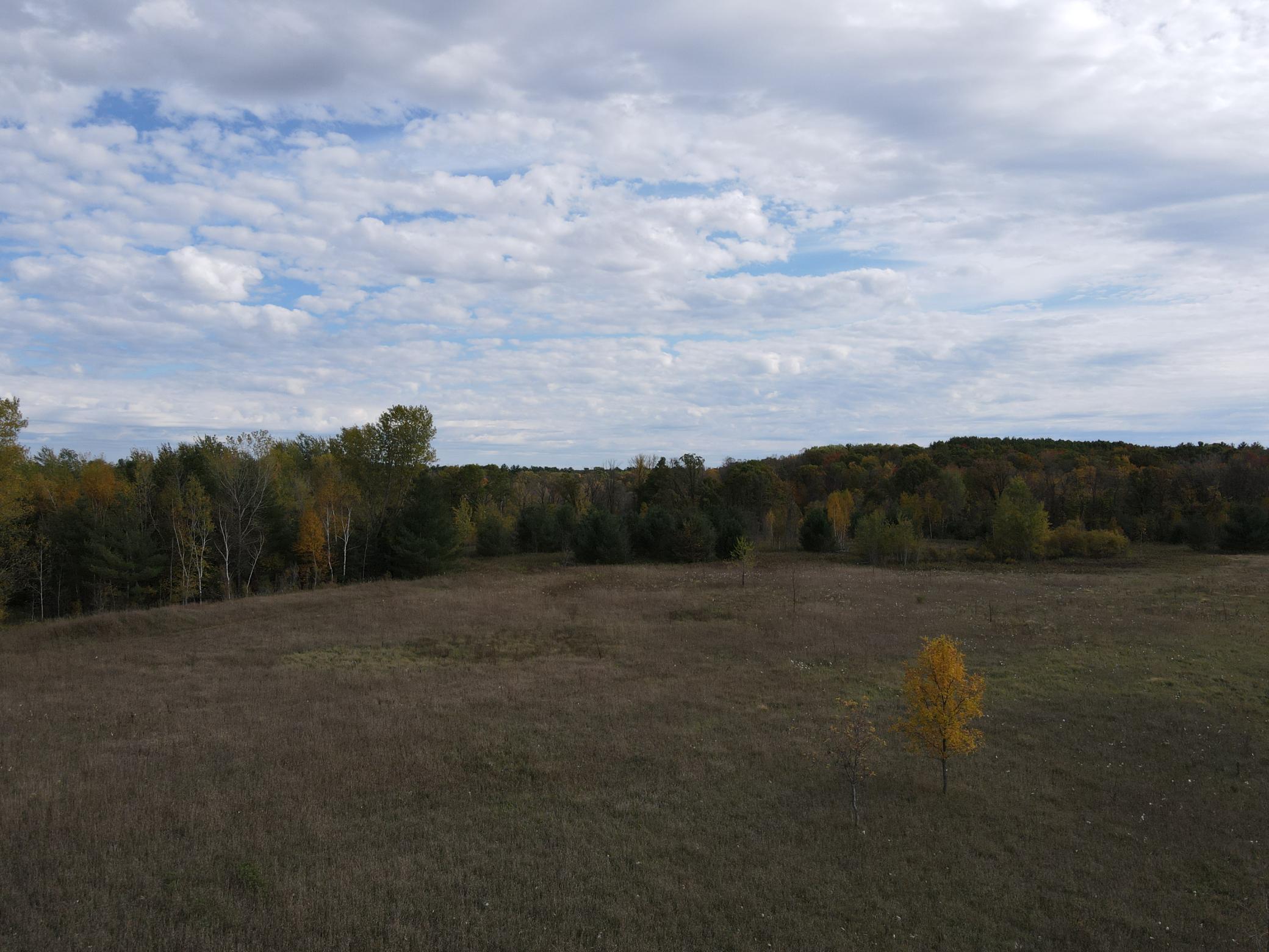 View of Land at xxx 381st Avenue, Stanchfield MN 55080, Stanchfield - Mike Wilen | Minnesota Team Real Estate