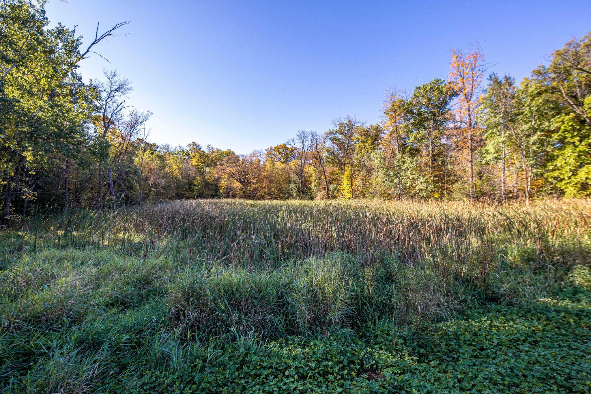 View of Land at xxxx 150th St. NW Avenue, Clearwater MN 55320, Clearwater - Mike Wilen | Minnesota Team Real Estate