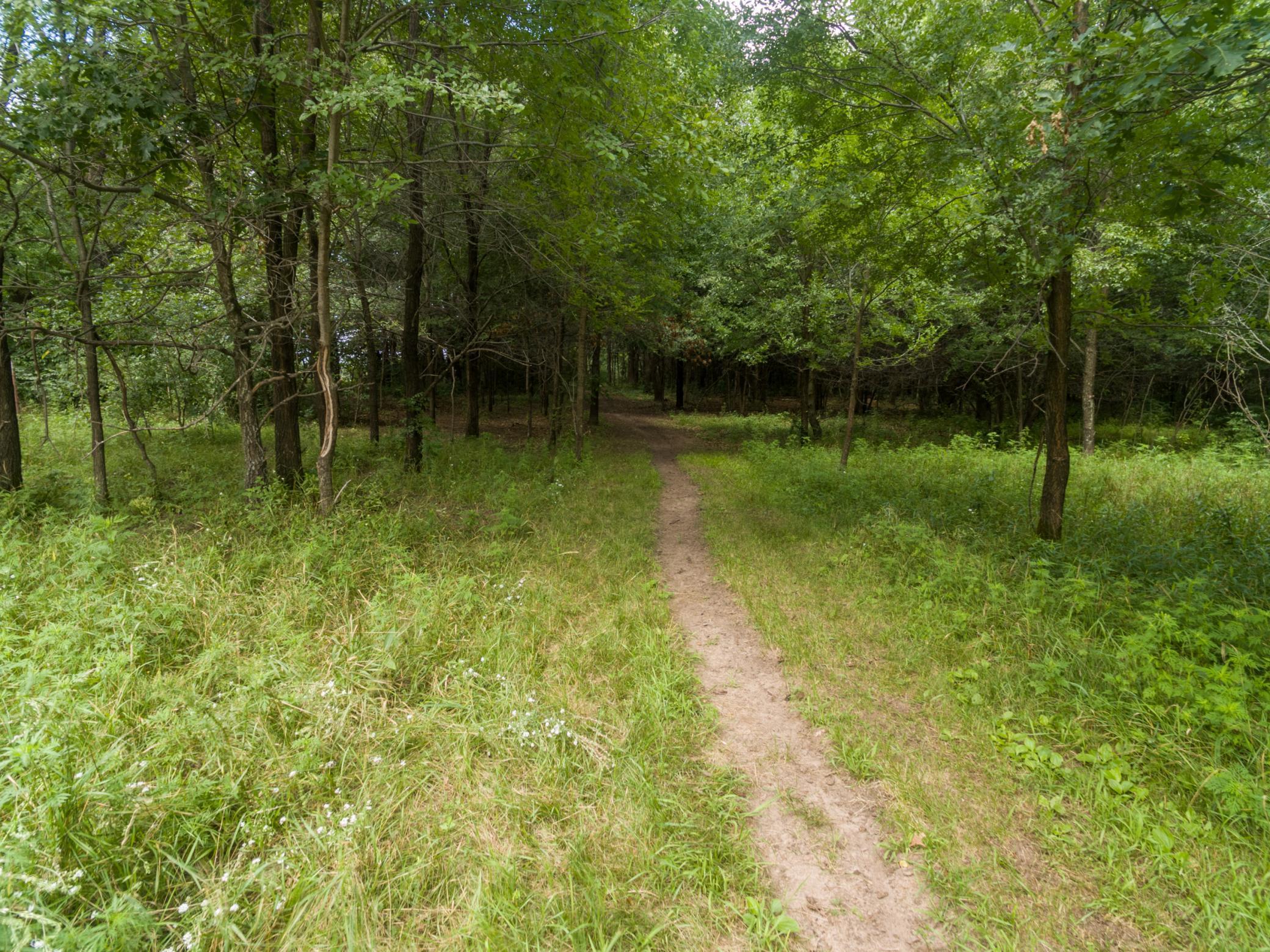 View of Land at XXX Flamingo Street, Oak Grove MN 55011, Oak Grove - Mike Wilen | Minnesota Team Real Estate