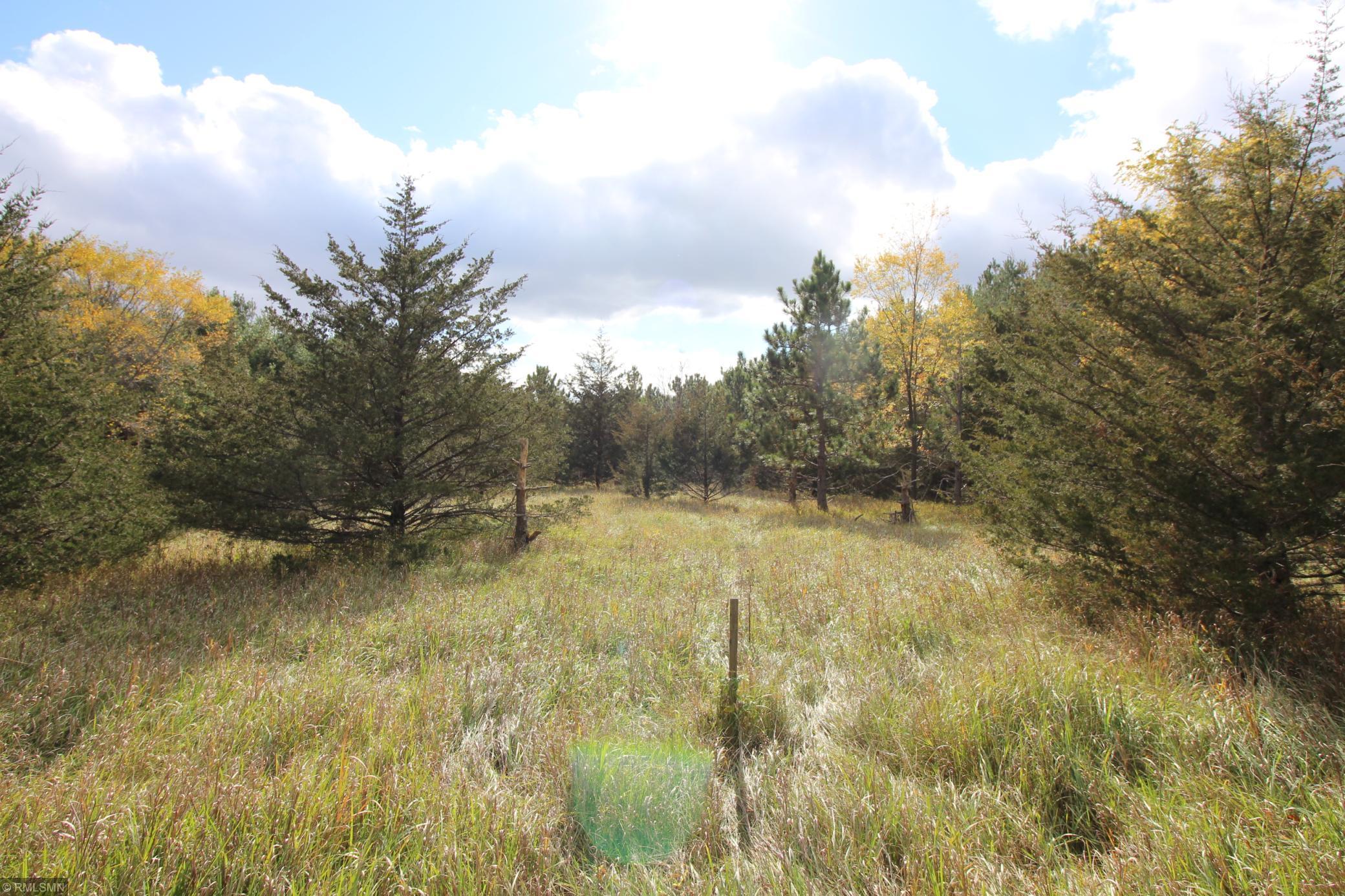 View of Land at 9XXX 140th Street, South Haven MN 55382, South Haven - Mike Wilen | Minnesota Team Real Estate