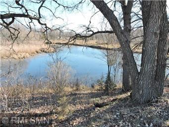 View of Land at Lot 11, Blk 2, 119th Avenue, Becker MN 55308, Becker - Mike Wilen | Minnesota Team Real Estate