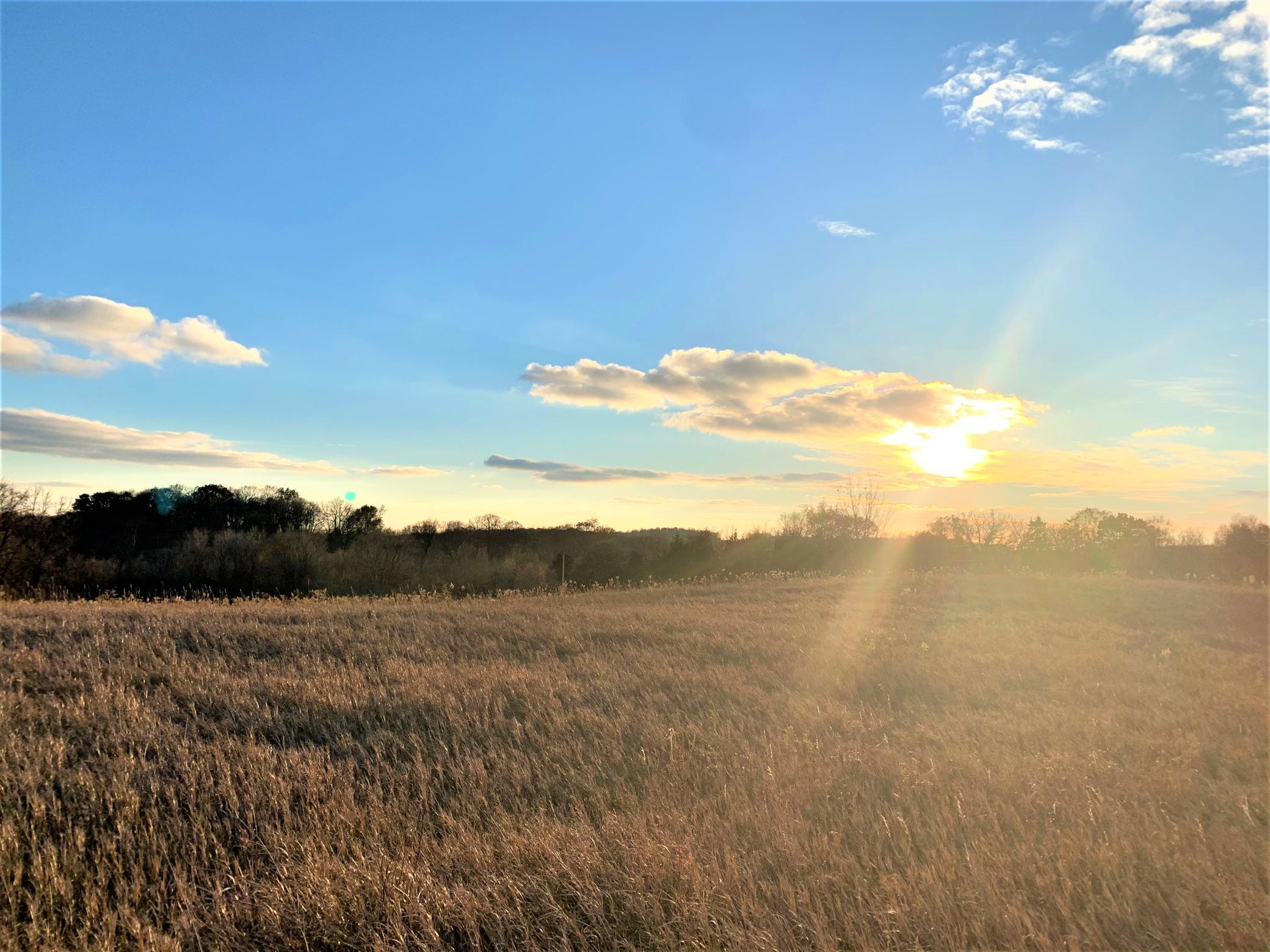 View of Land at 18657 Shelby Court, Waterville MN 56096, Waterville - Mike Wilen | Minnesota Team Real Estate