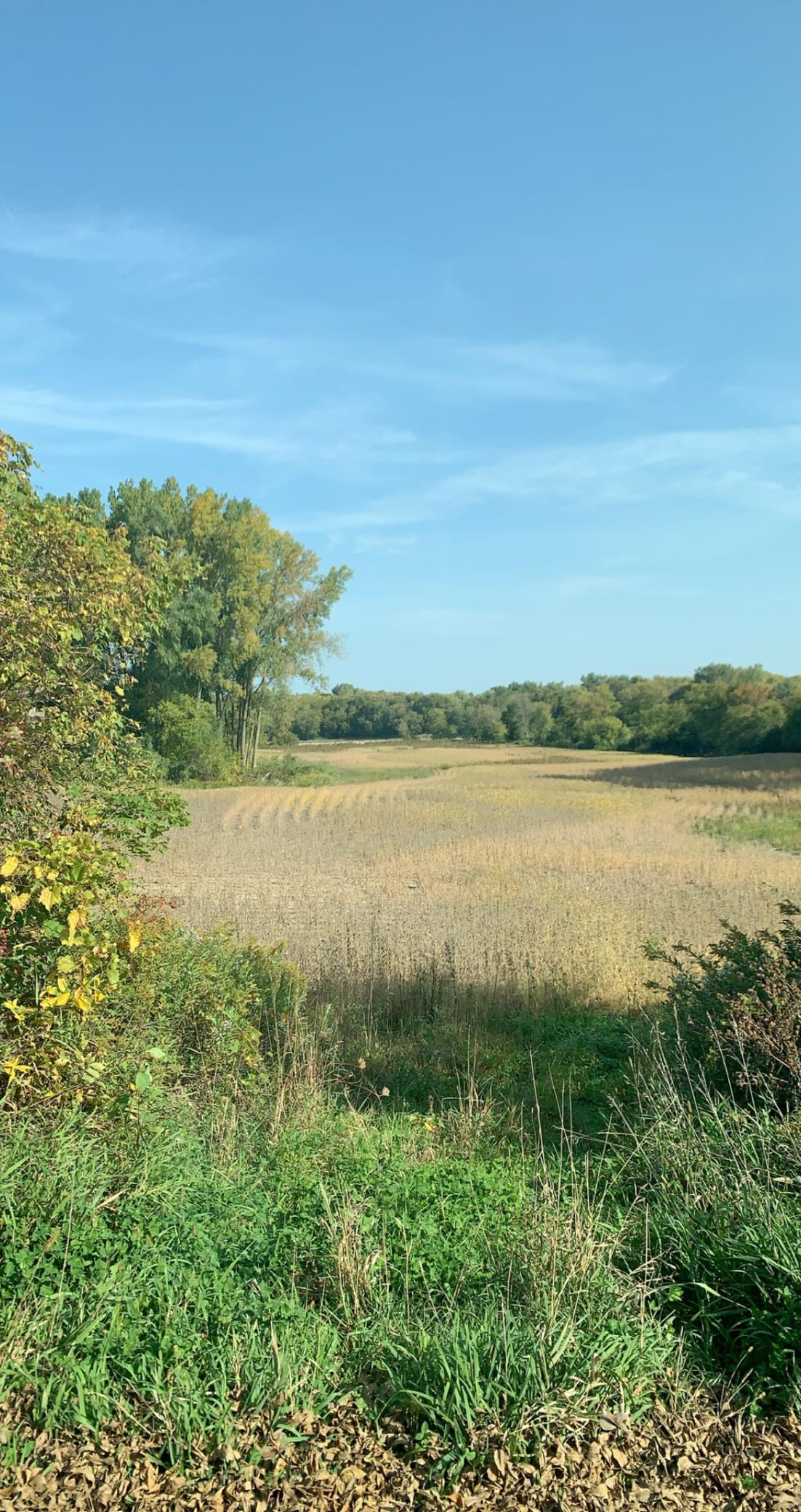 View of Land at 10174 240th Street, Lakeville MN 55044, Lakeville - Mike Wilen | Minnesota Team Real Estate