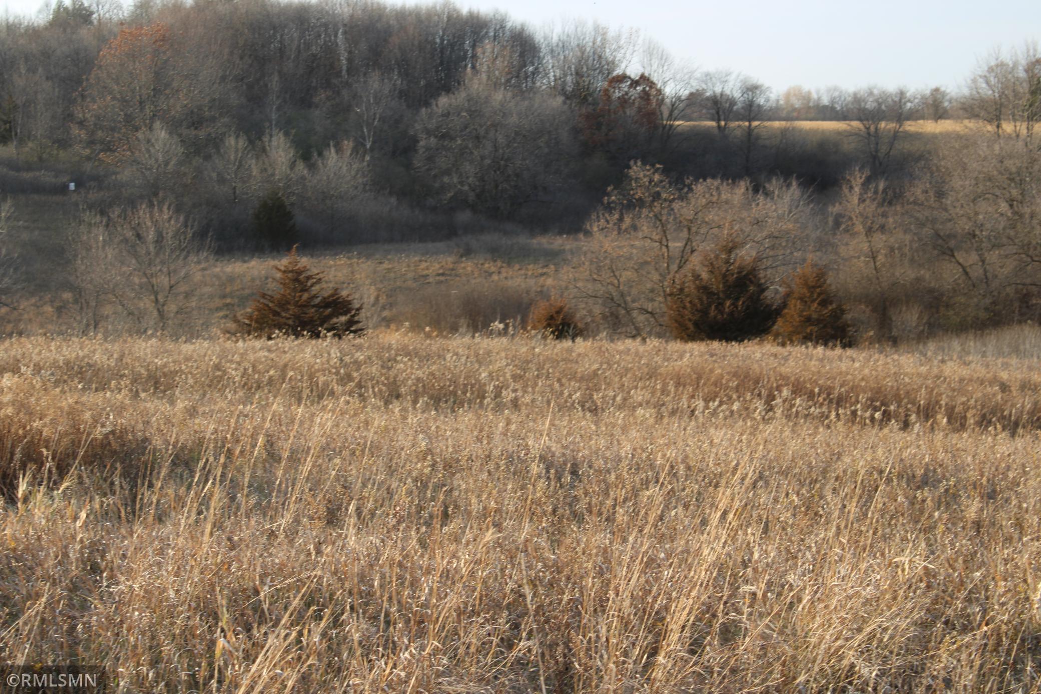 View of Land at 124XX 352 Street, Lindstrom MN 55045, Lindstrom - Mike Wilen | Minnesota Team Real Estate