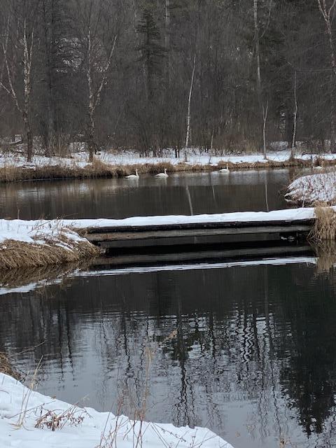 View of Residential at 13645 Valley Creek Trail, Afton MN 55001, Afton - Mike Wilen | Minnesota Team Real Estate