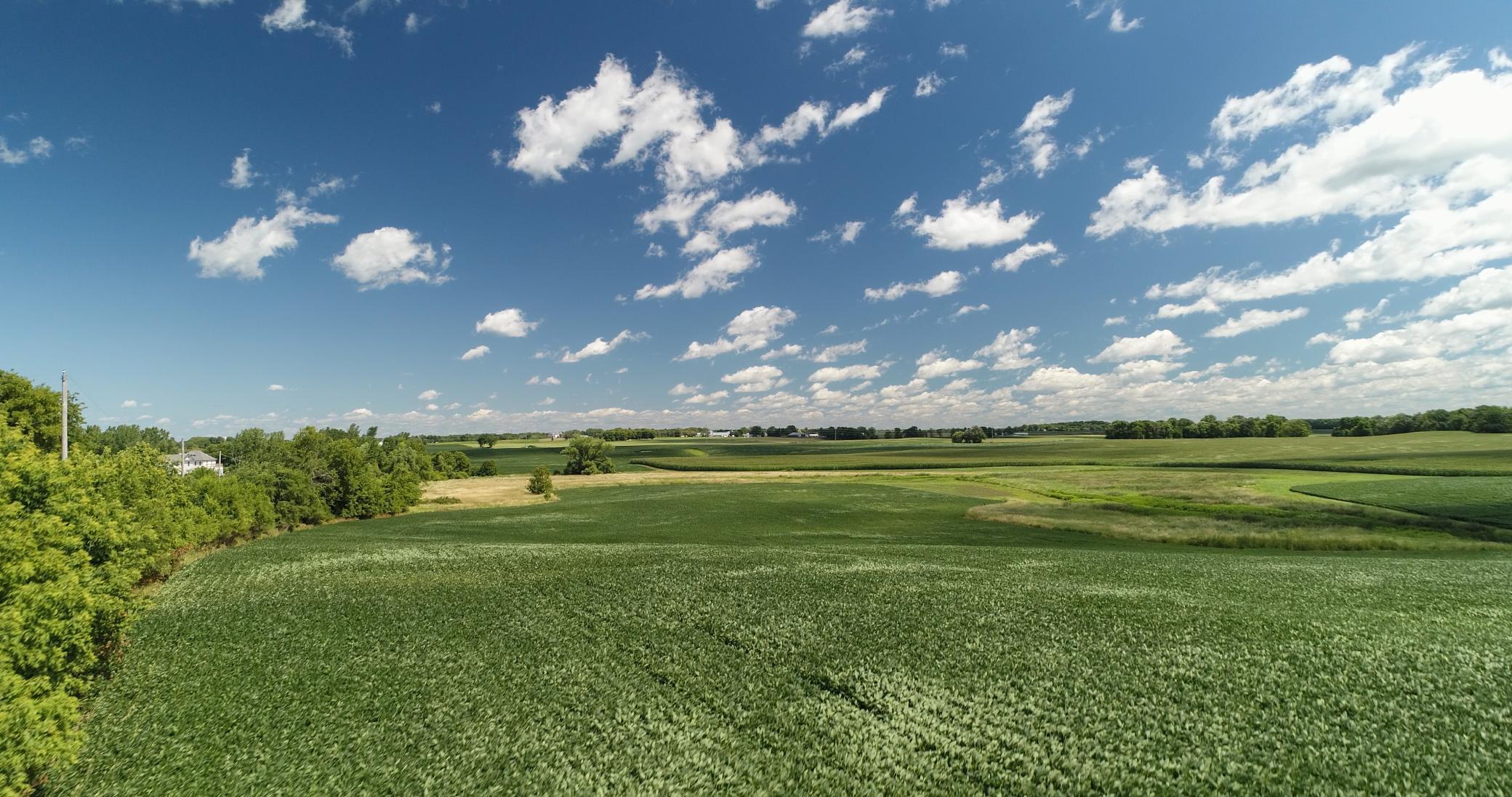 View of Land at 22946 County Rd 50, Hamel MN 55340, Hamel - Mike Wilen | Minnesota Team Real Estate
